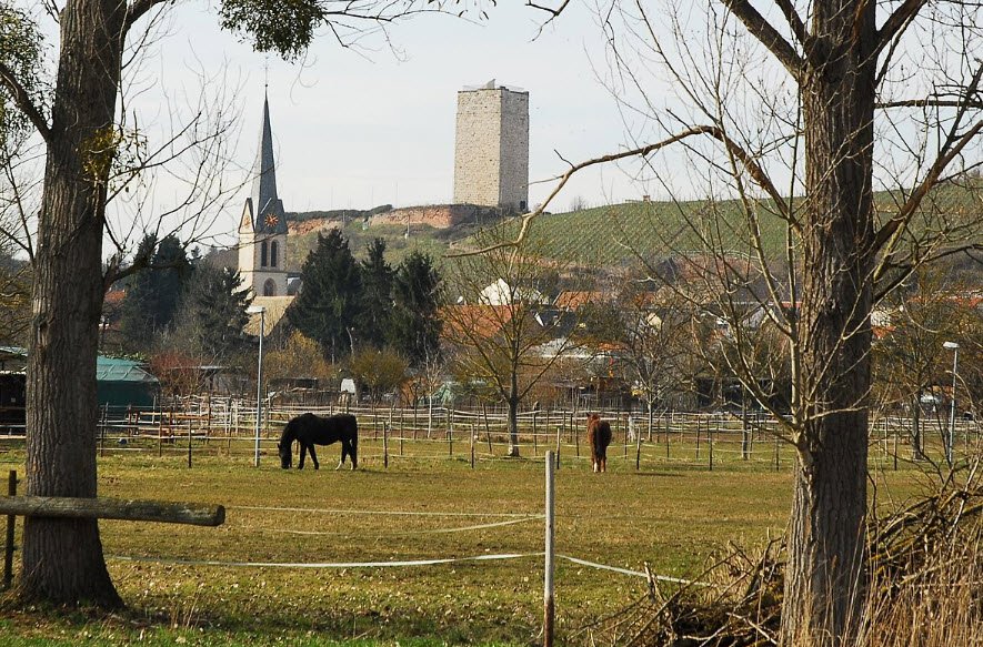 Schloßturm Schwabsburg, Nierstein, Germany, Germany